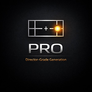 Pro — Director-grade generation